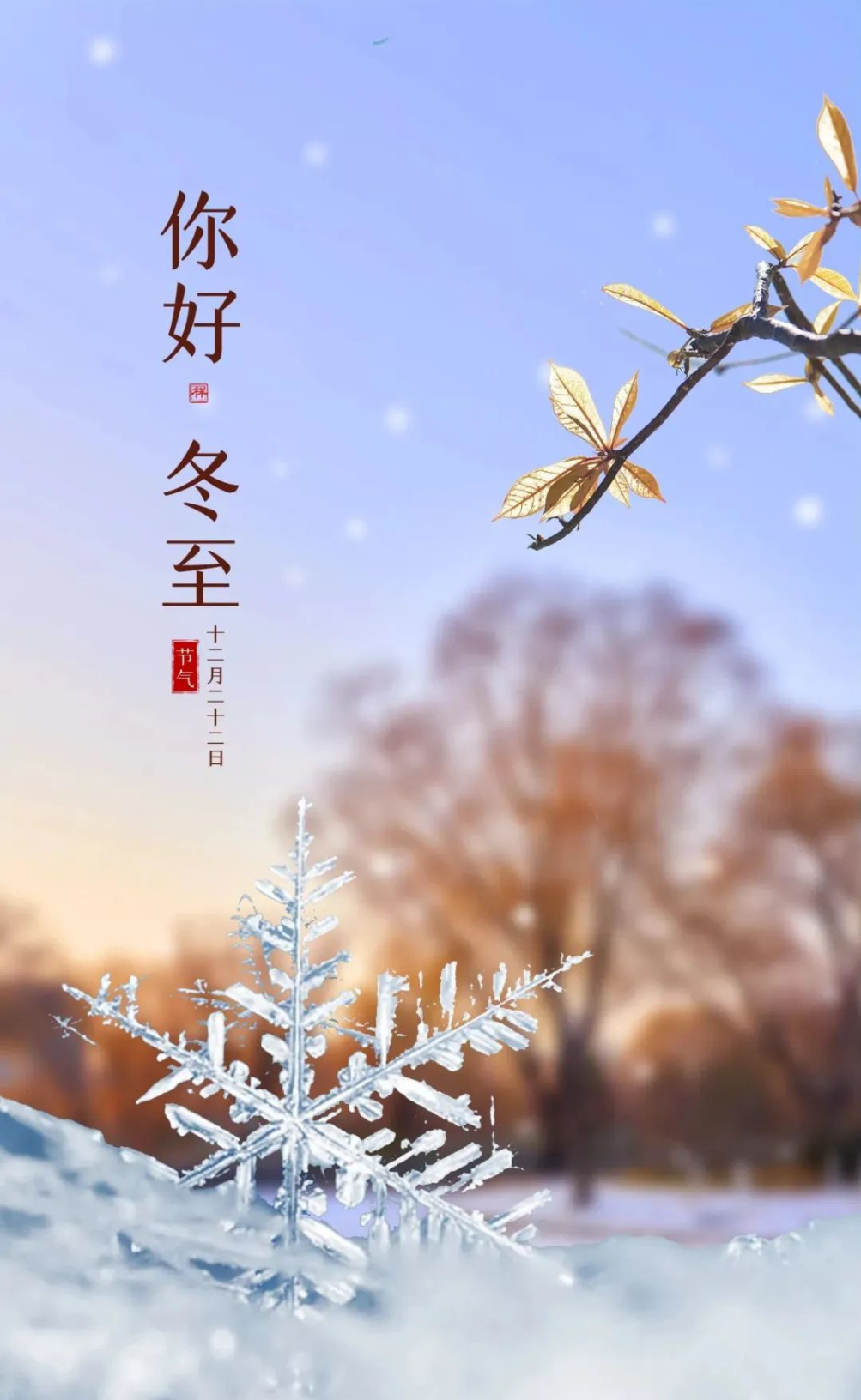 冬至丨心有暖陽(yáng)，何懼寒夜漫長(zhǎng)